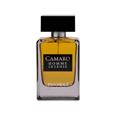 Paris Corner Camaro Homme Intense
