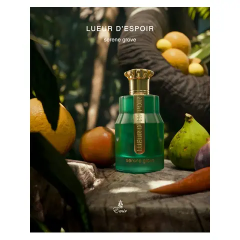 Paris Corner Lueur D’espoir Serene Grove
