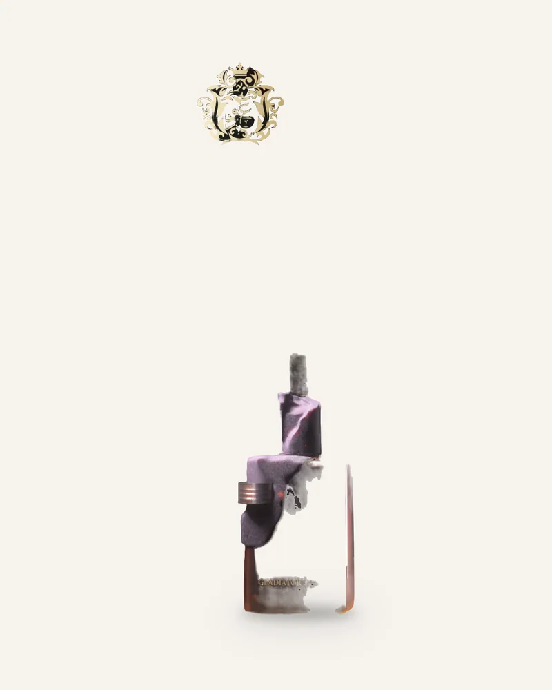 Paris Corner Ministry Of Oud Gladiators Oath bottle
