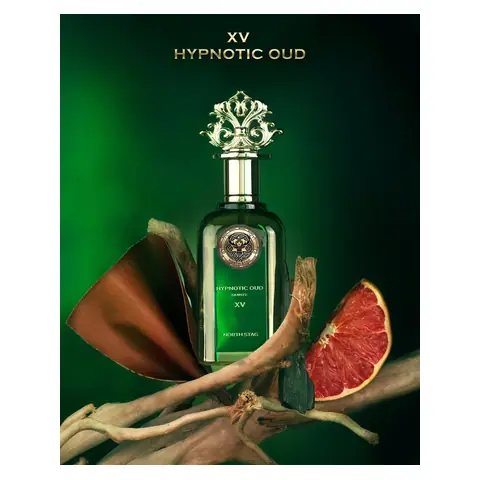 Paris Corner North Stag Hypnotic Oud Quinze Xv