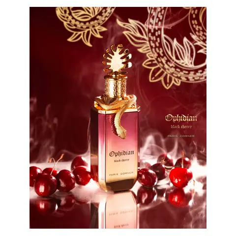 Paris Corner Ophidian black cherry