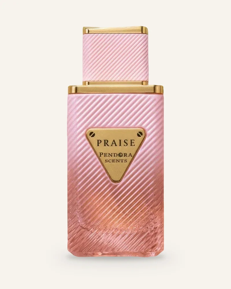 Paris Corner Praise Eau de Parfum bottle