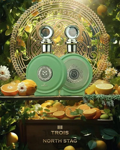 Paris Corner Trois III Expressions North Stag Extrait de Parfum bottle